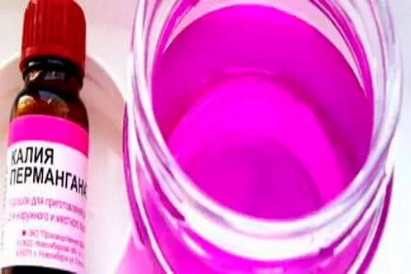 Лечение парши груши25