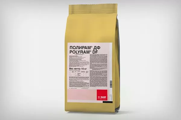 Лечение парши груши26