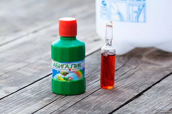 Лечение парши груши3