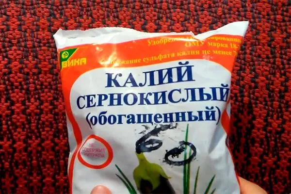 Лечение парши груши32