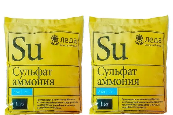 Лечение парши груши35