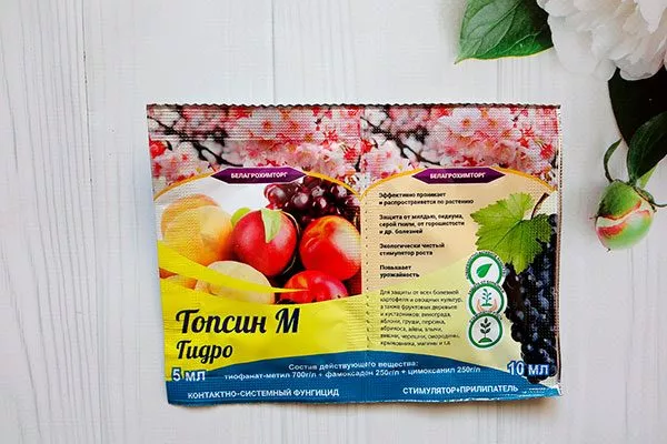 Лечение парши груши36