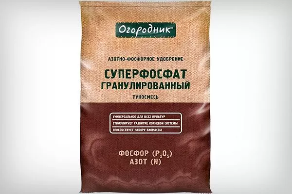 летом Суперфосфата Удобрение грецкого ореха9