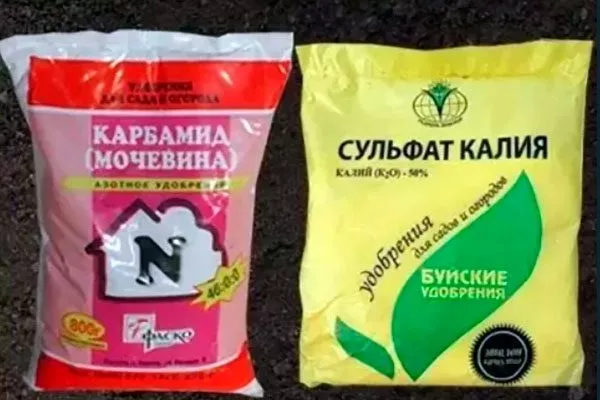 мочевины и сульфата калия подкормить сливу26