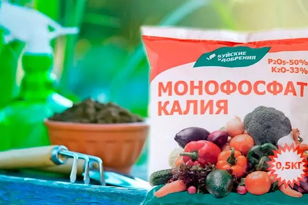 Монофосфат калия для яблони30