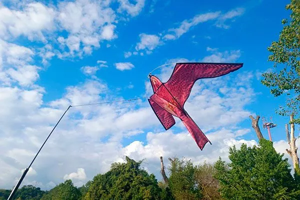 Муляжи хищников1