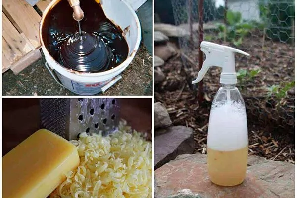 Мыльный раствор Тля на груше23