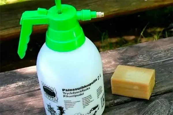 Мыльный раствор