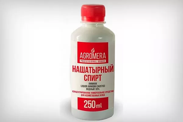 нашатырь Паутинный клещ3