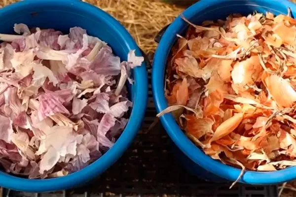 настой чеснока способы борьбы18