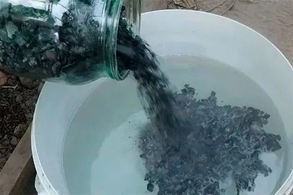 Настой древесной золы подкормить сливу29