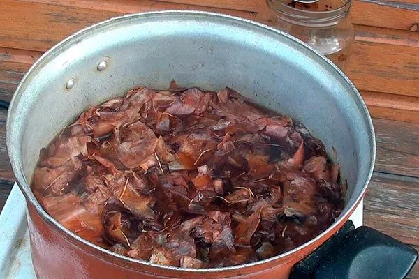 Настой луковой шелухи