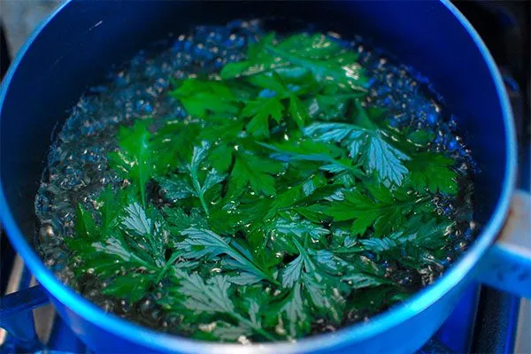 Настой полыни способы борьбы17