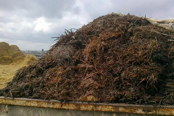 Навоз Подкормка алычи26