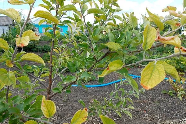 Нехватка питания