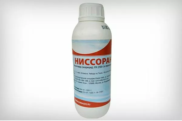 ниссторан Паутинный клещ7