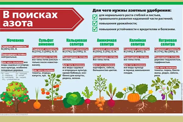 нуждаются в азотных удобрениях1 Подкормка алычи30