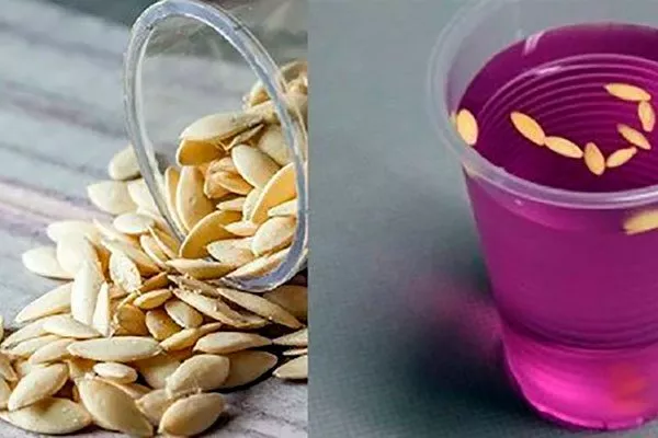 Обеззараживание огурцов Санькина любовь9