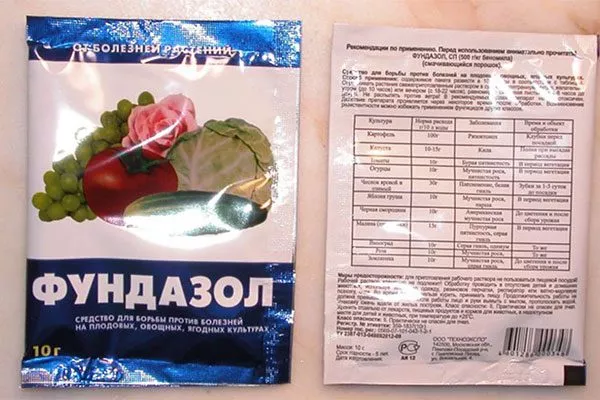 обрабатывайте пионы фунгицидами, например, Фундазолом или ХОМом,