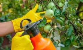 обработки от вредителей и болезней Яблони Долго8