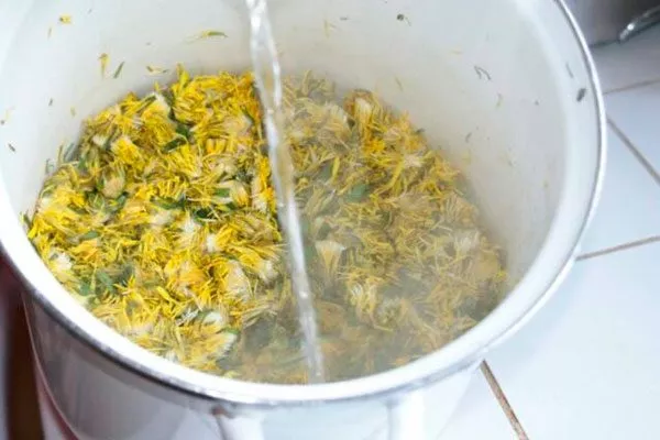 Одуванчиковый трипсы21