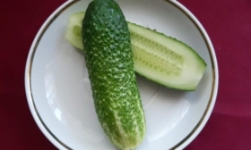 огурец Июньский в разрезе