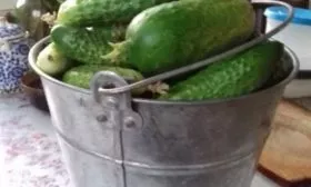 урожай Июньского