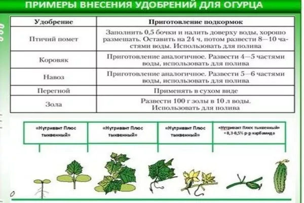 подкормки для Июньского