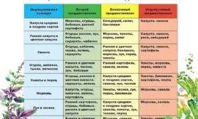таблица по севообороту