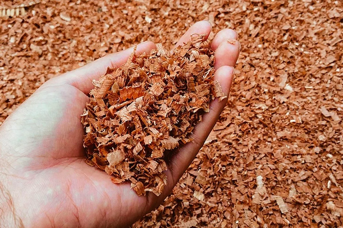 опилки (перепревшие) Критерии выбора почвы10