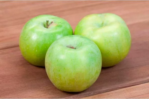 описание яблони Семеренко