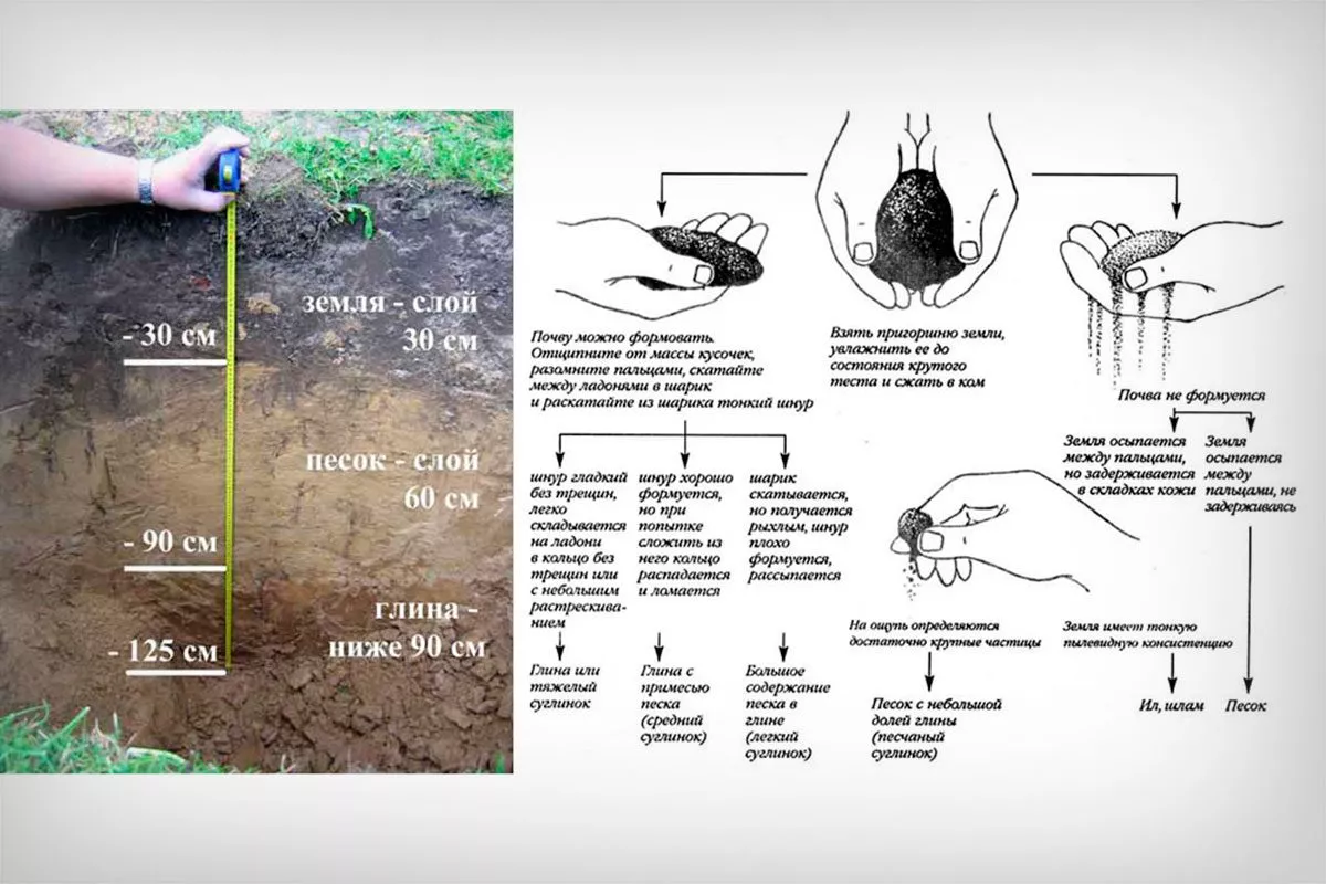 Определение типа грунта Критерии выбора почвы11
