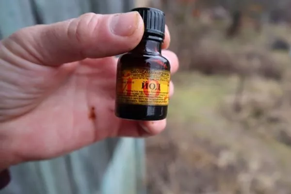 йод для подкормки баклажанов