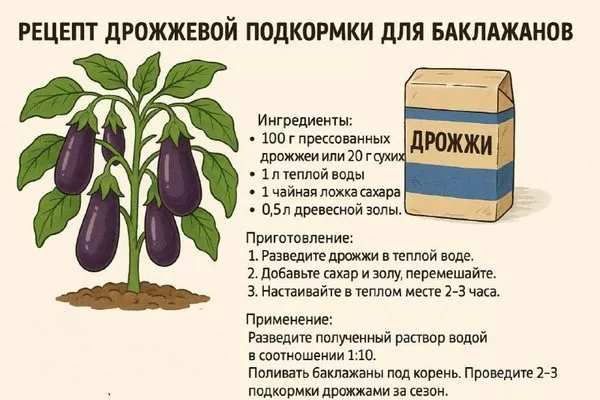 подкормка баклажанов дрожжами