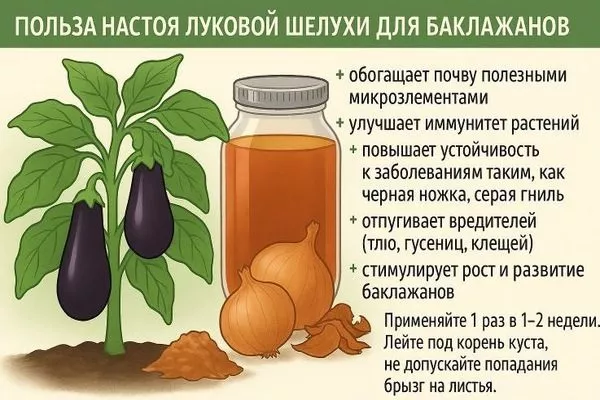 настой луковой шелухи для баклажанов