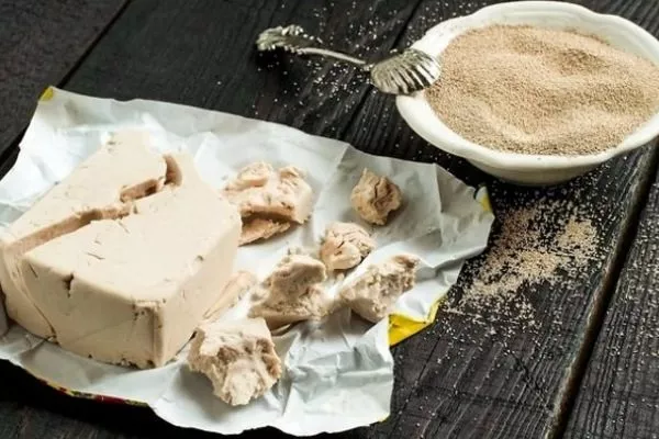 дрожжи для подкормки баклажанов