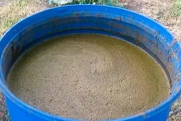 Органический настой подкормить сливу37