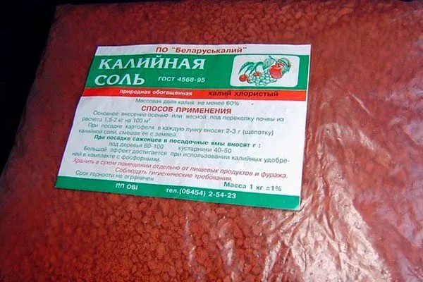 Осенью калийная соль Удобрение грецкого ореха12