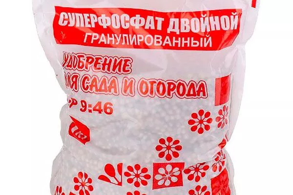 осенью Суперфосфат Удобрение грецкого ореха13