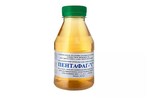 Пентафаг от парши