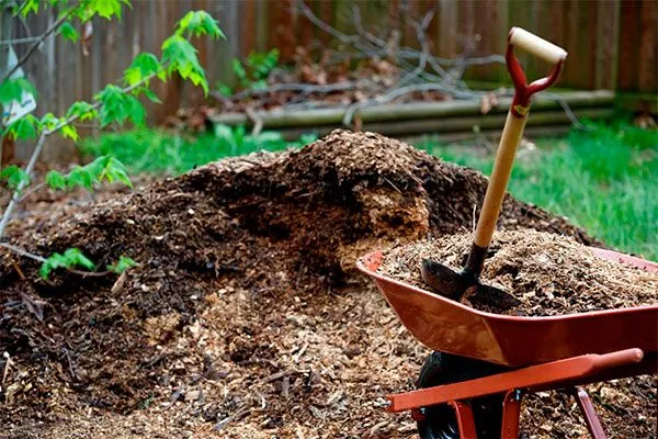 Перепревший навоз или компост