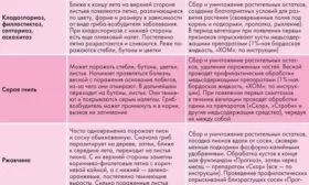 болезни пионов Гарден треже и их лечение
