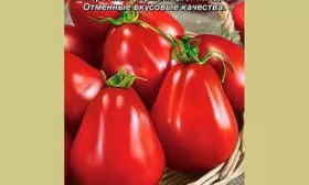 плод томатов Винный кувшин10