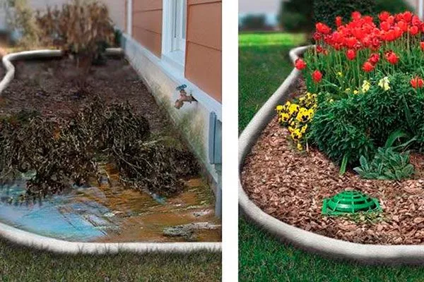 Плохой дренаж Критерии выбора почвы14