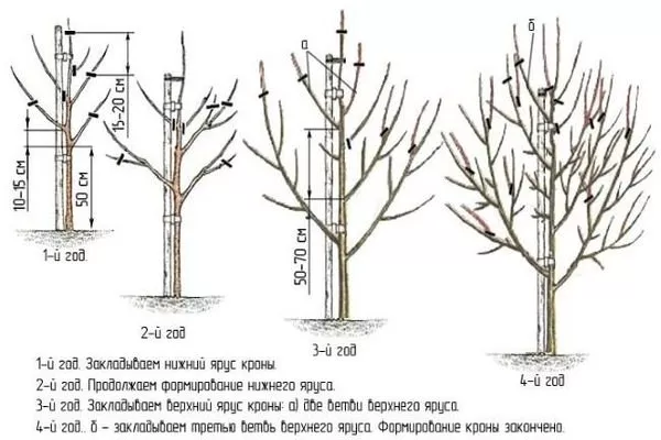 как правильно обрезать грушу