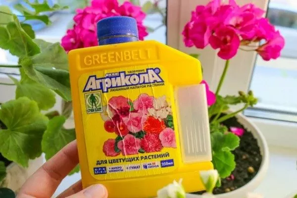 специальное удобрение для цветения пеларгонии
