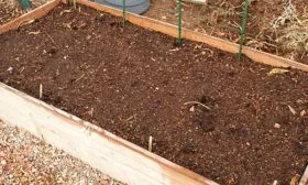 Подготовка грядки огурцов Шопен13