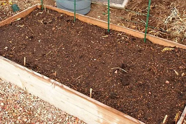 Подготовка грядки огурцов Шопен13