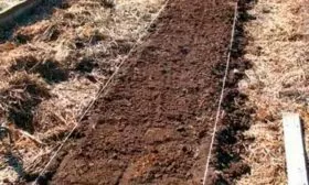 Подготовка участка огурцов Санькина любовь14