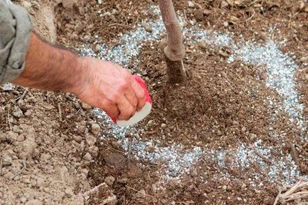 подкормка для сибири и урала44